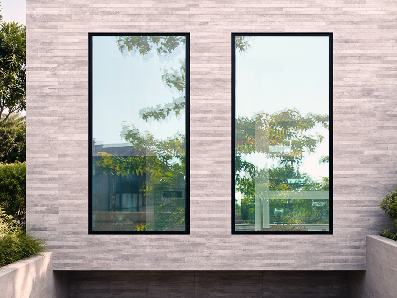 NF Zero Plus NF Zero Plus